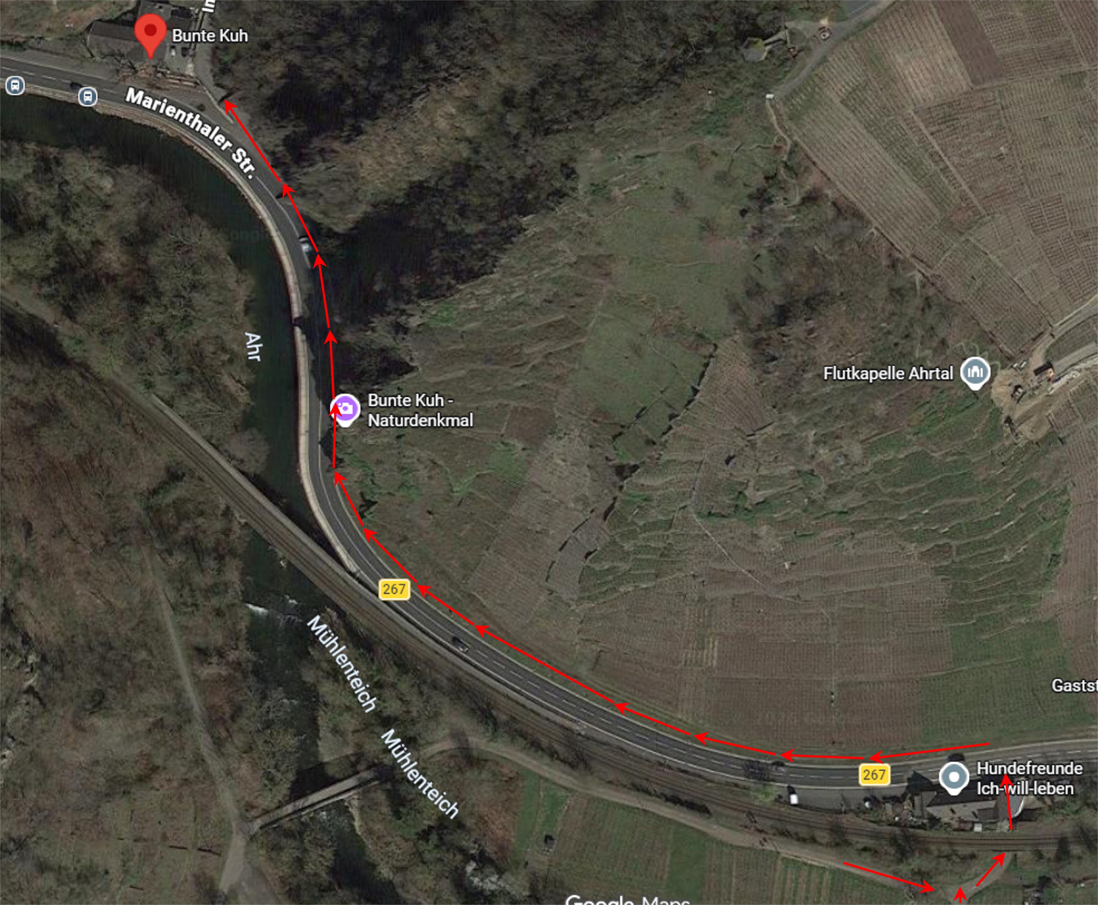 Zufahrt zum Weinhaus zur Bunten Kuh für Fahrradfahrer
